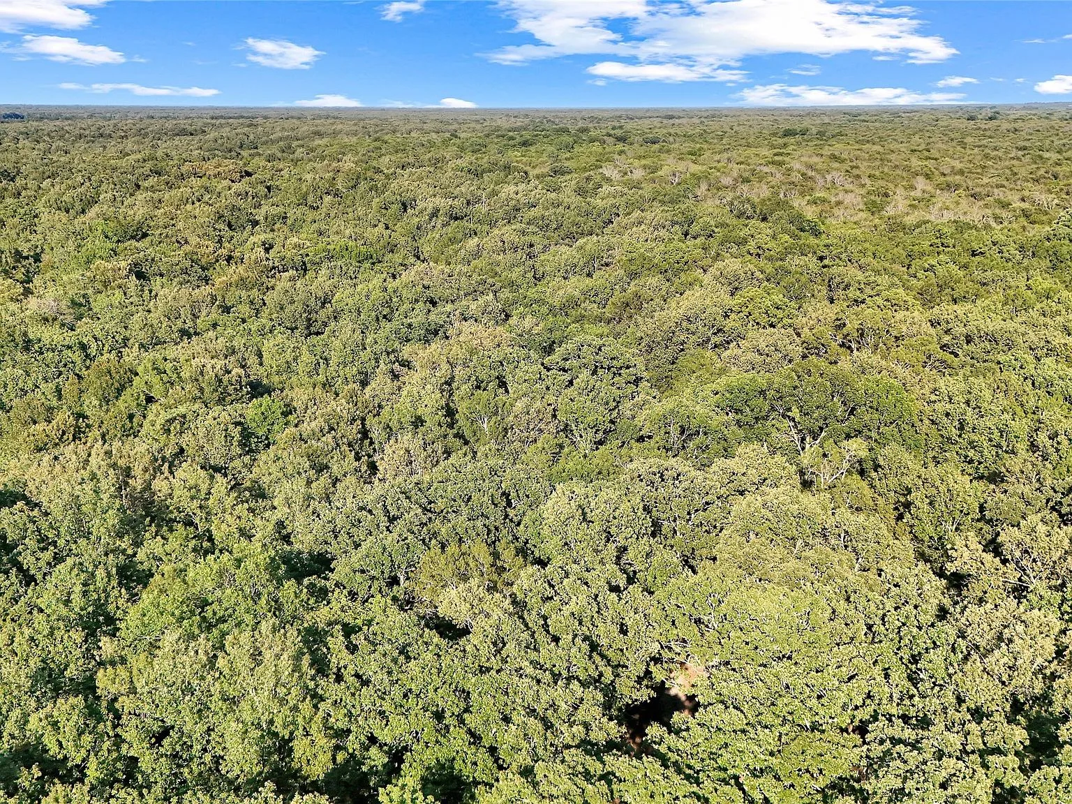 Wide aerial shot of heavily wooded land