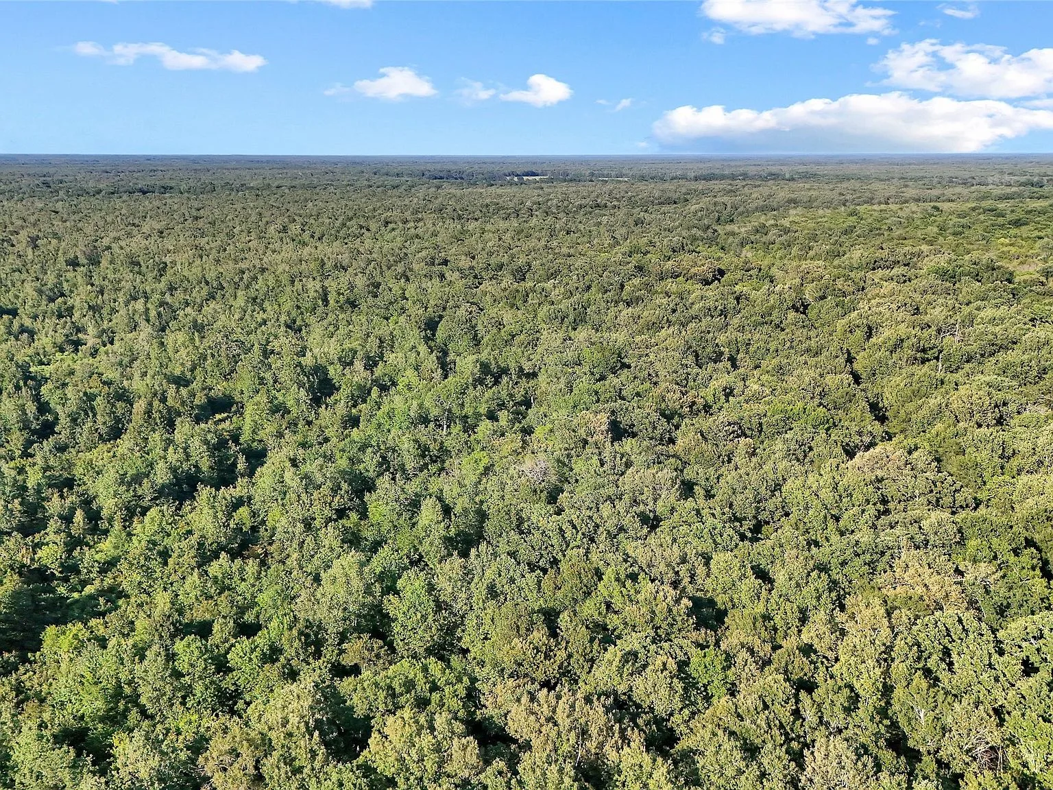 Drone wide-angle of densely wooded Northeast Texas terrain