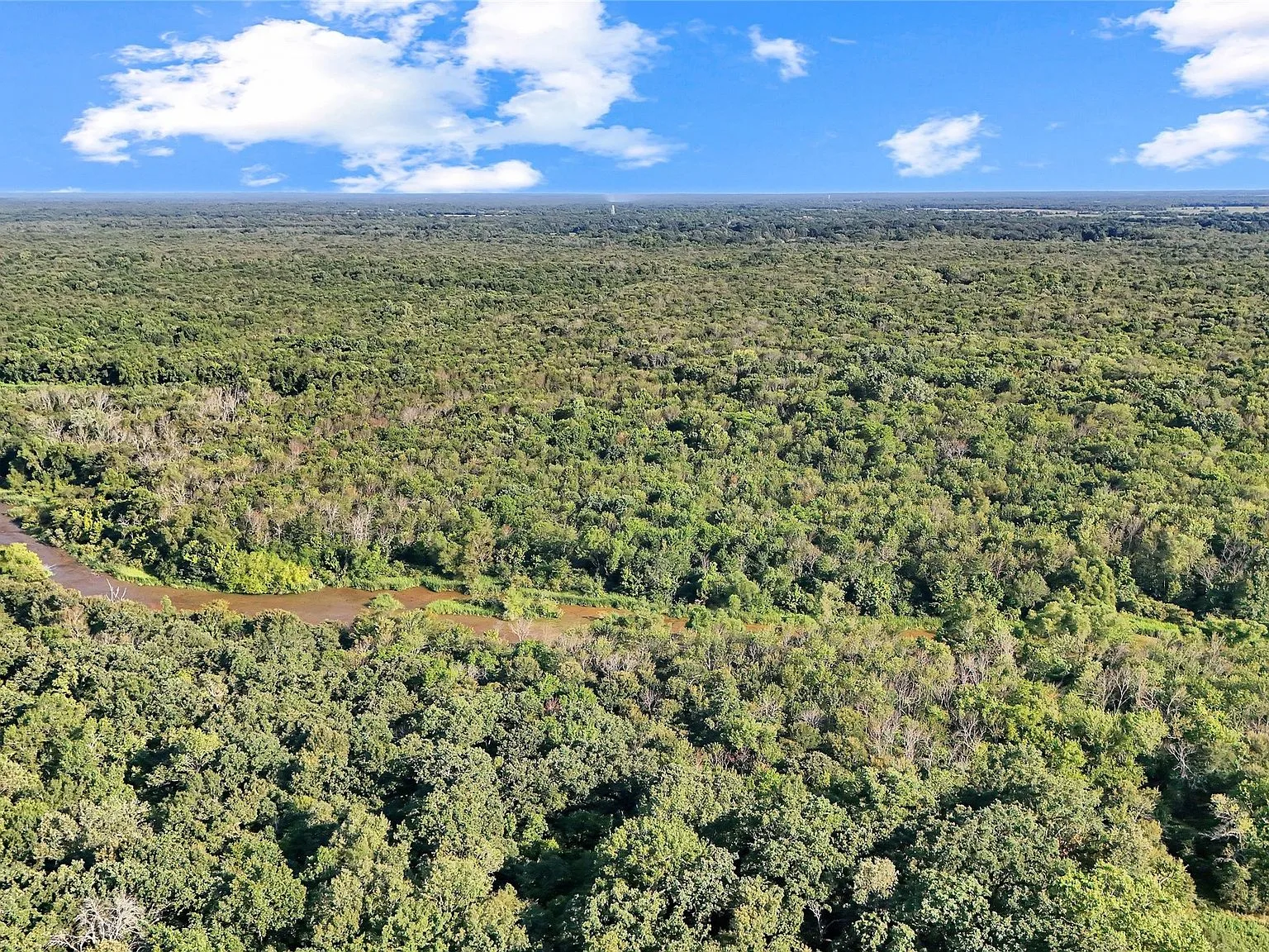 Aerial of dense woodland with winding river