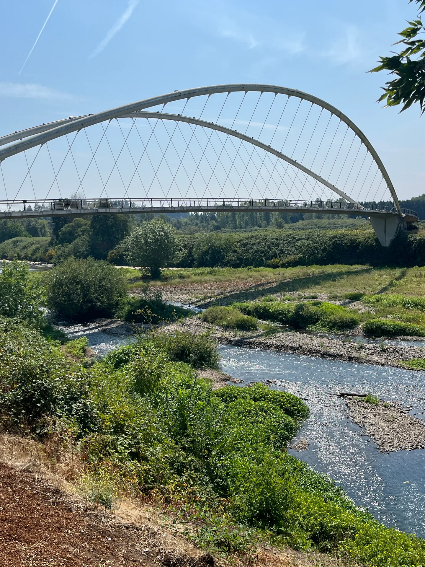 Modern pedestrian bridge spanning a tree-lined creek on a bright sunny day