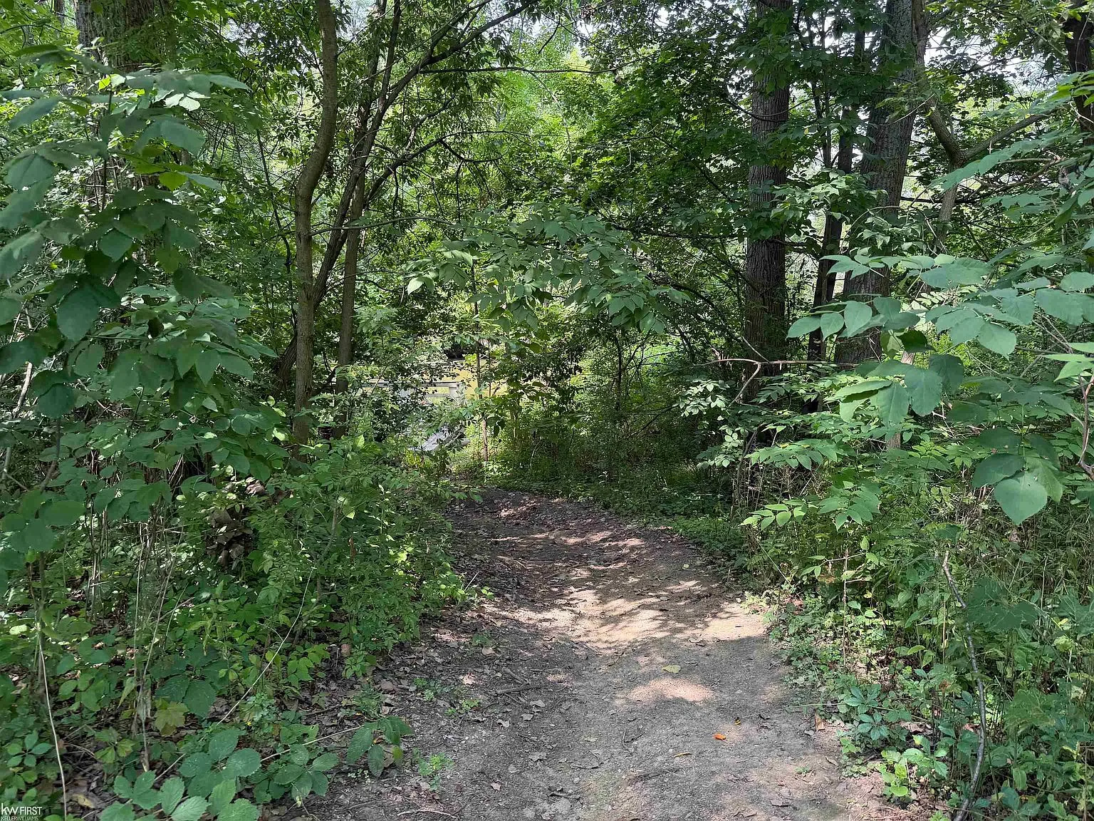 Wooded path leading to Kearsley Creek
