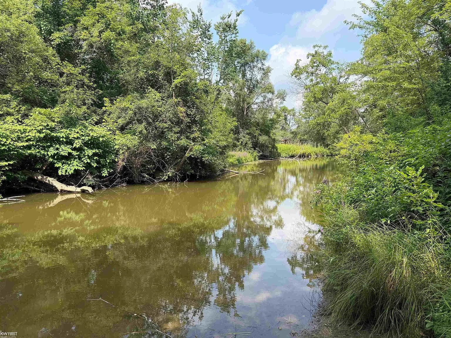 Kearsley Creek shoreline behind 3049 Egleston Ave