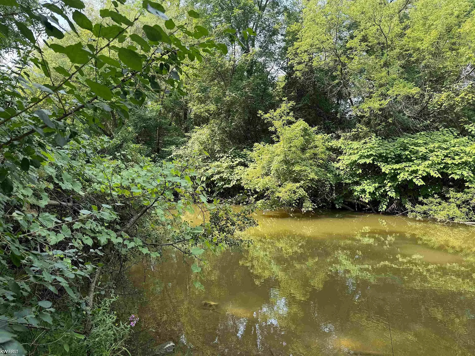 View of Kearsley Creek from the rear of the property in natural wooded setting