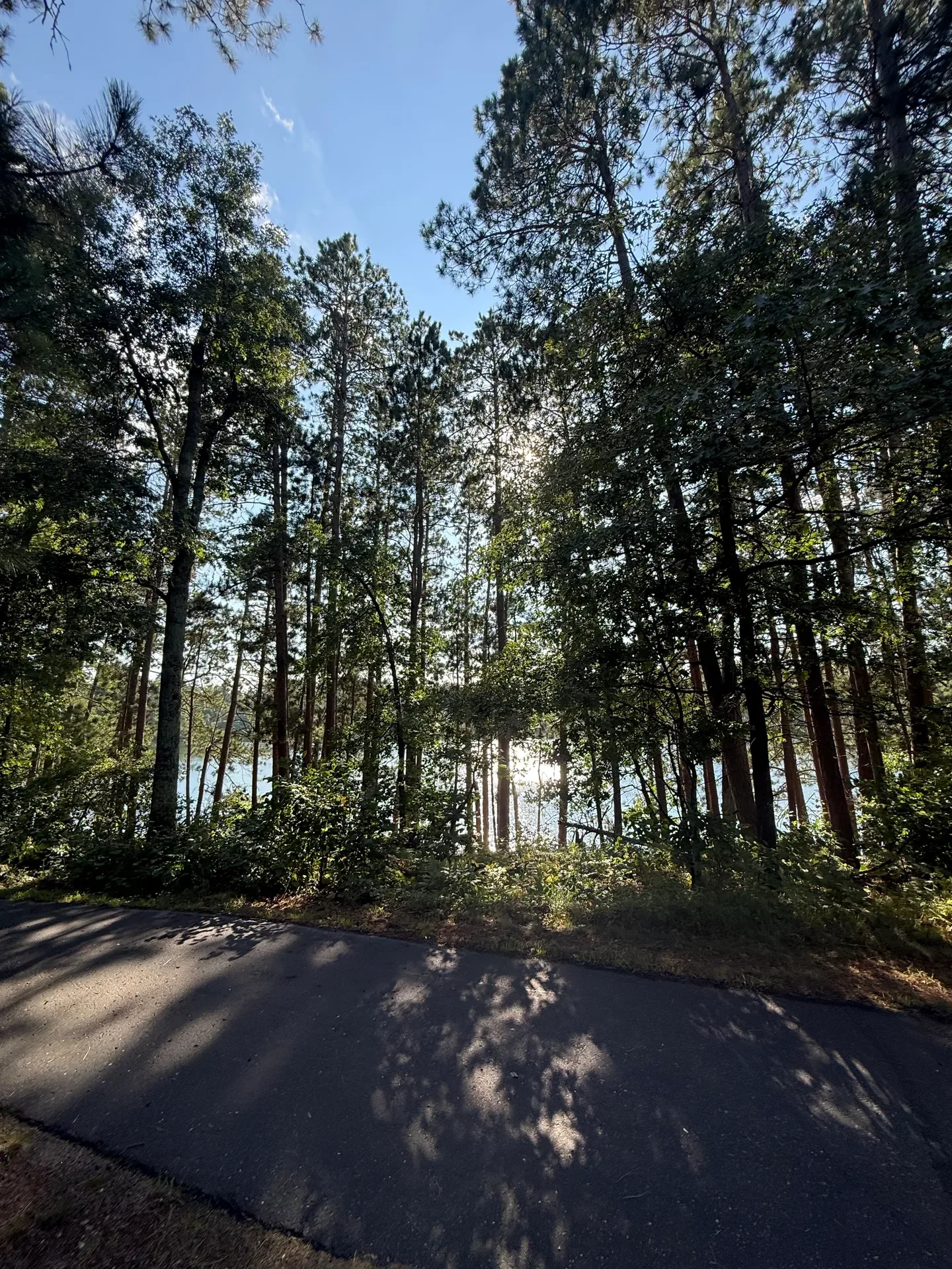 Lake view visible through the trees from the paved walking path