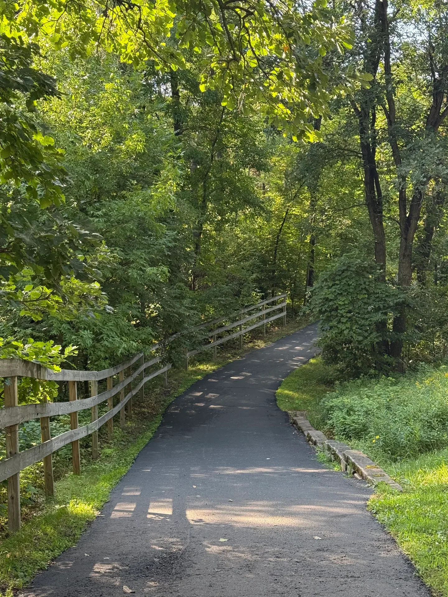 Wooden footbridge along the paved trail through the forest