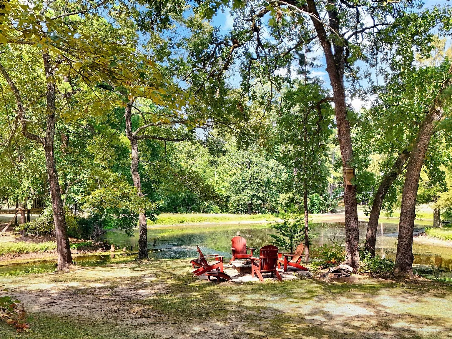 Backyard pond and fire pit area in natural wooded setting