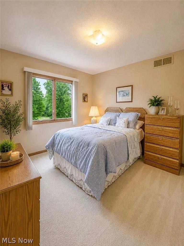 Secondary bedroom with carpeted floors and natural light