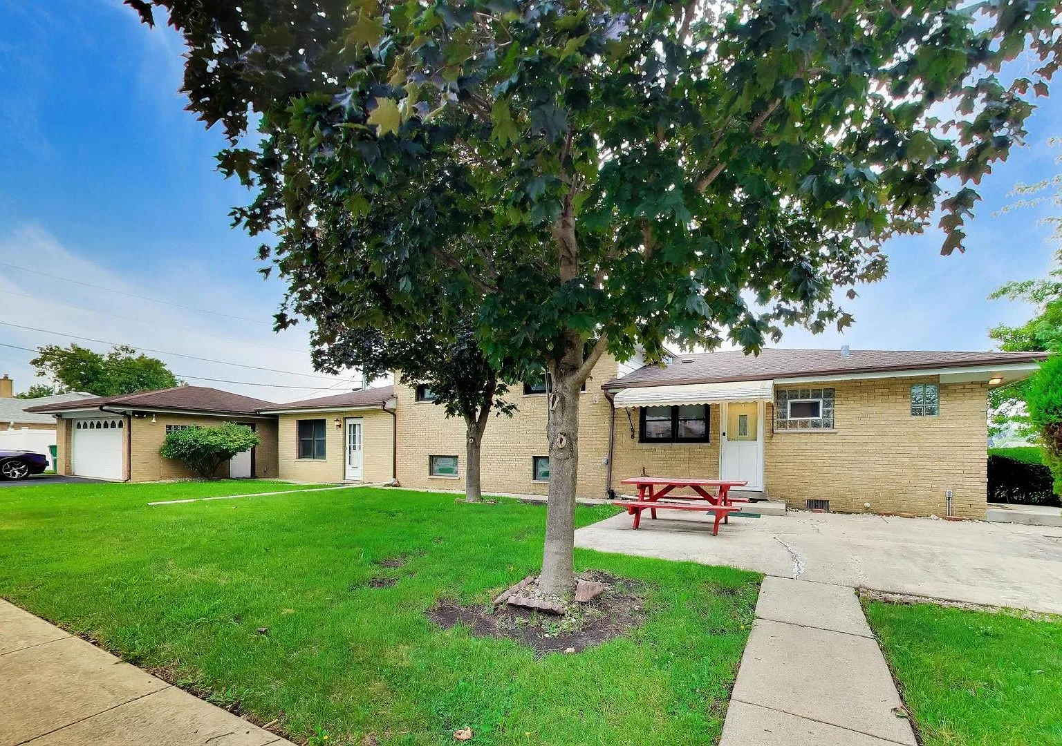 Backyard patio view with mature tree and concrete patio