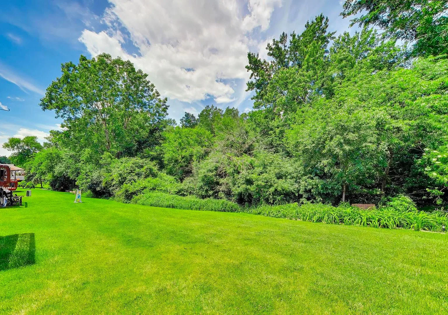 Green backyard lawn bordered by dense woods