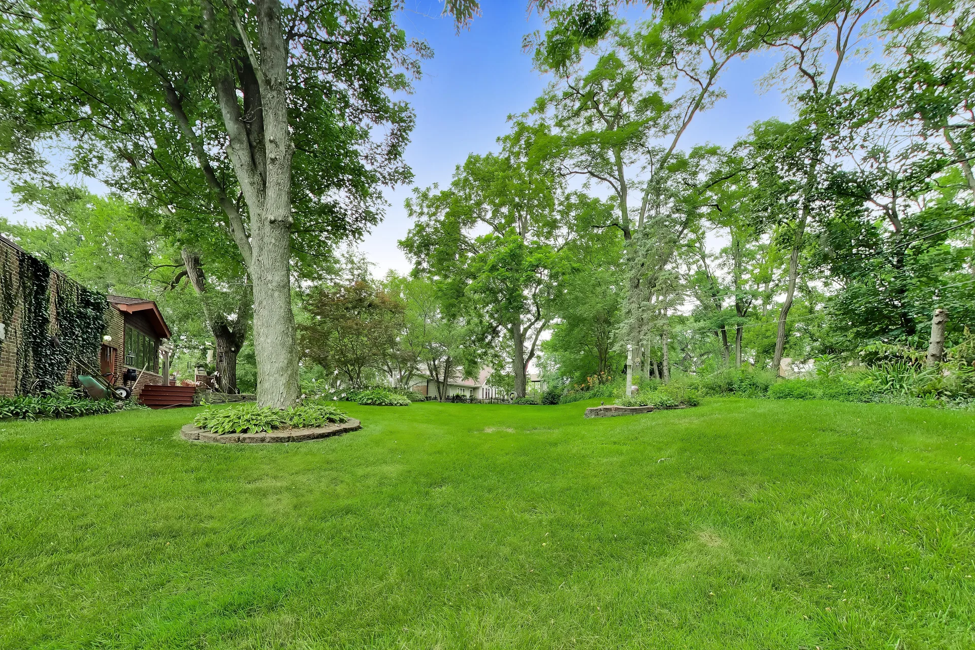 Expansive wooded backyard with a wide green lawn