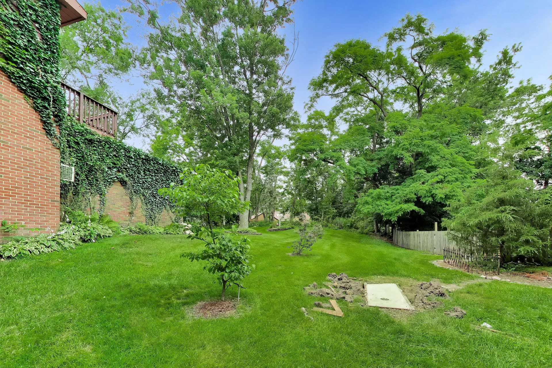 Backyard lawn and ivy-covered brick wall beside mature trees