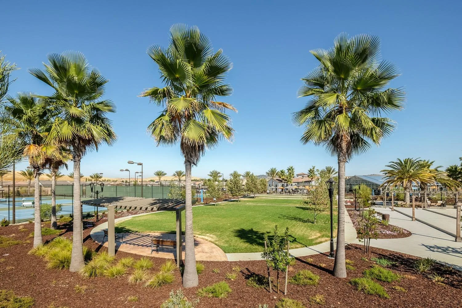 A landscaped park setting with palm trees, lawns, and walking paths at Heritage El Dorado Hills, the 55+ active-adult community in El Dorado Hills, California