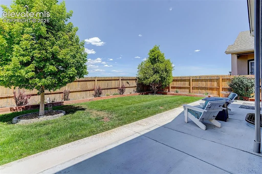 Backyard with concrete patio, lawn, and a young tree
