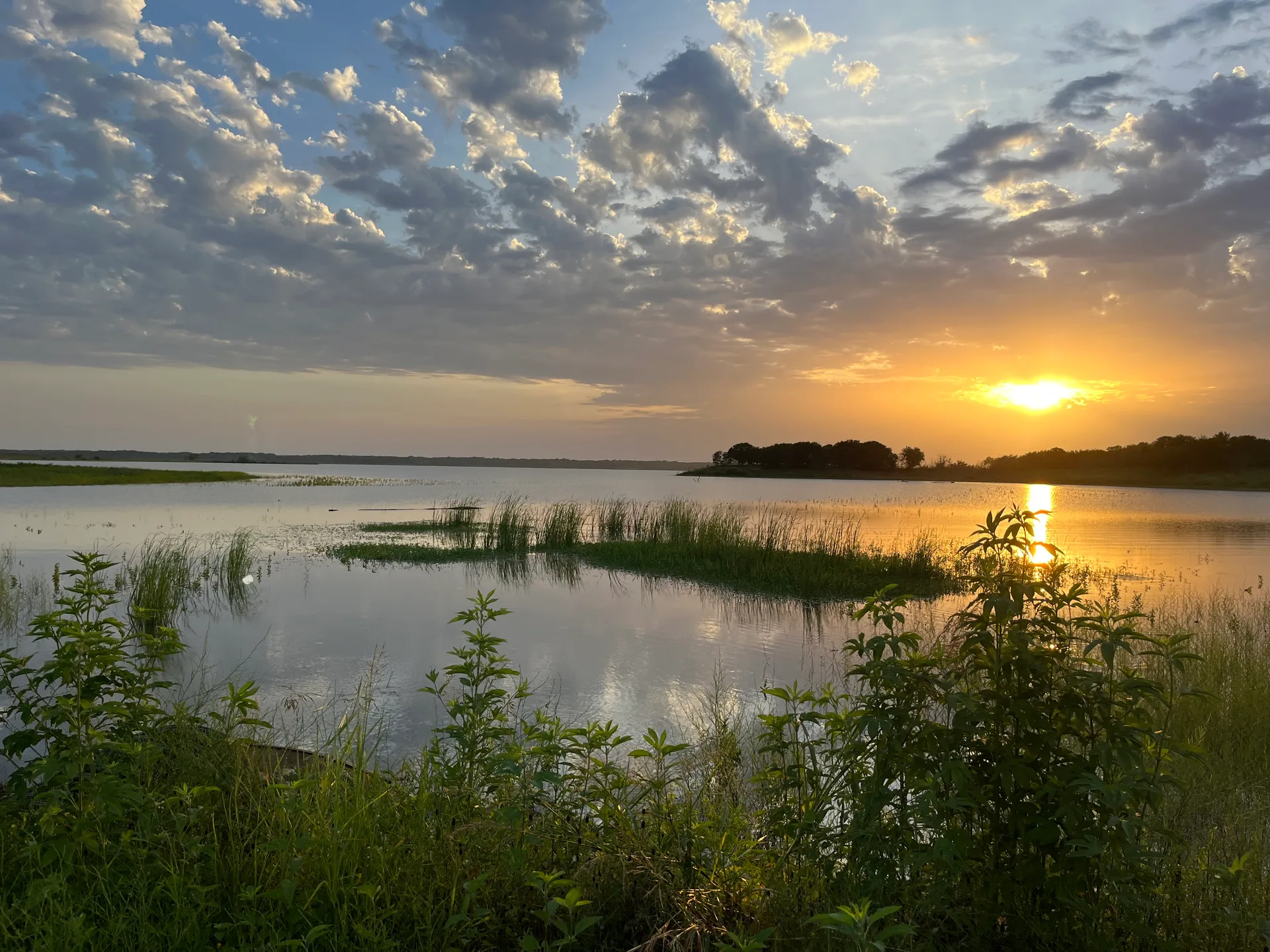 Golden hour light spreading across Lake Texoma from a shoreline of tall grasses