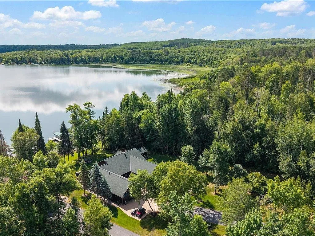 Aerial view of the property on Mitchell Lake with cleared lawn, mature trees, and waterfront access