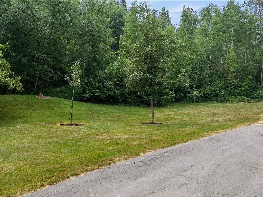 Wooded side lawn with mature trees and open grass