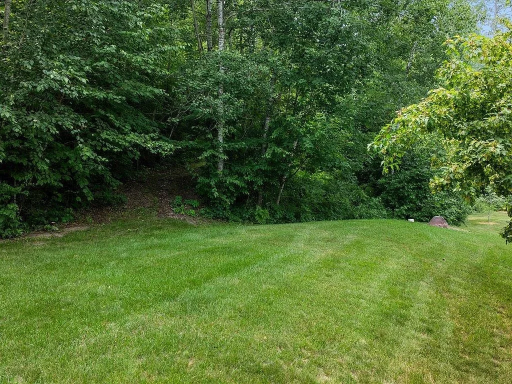 Expansive backyard lawn bordered by the forest treeline