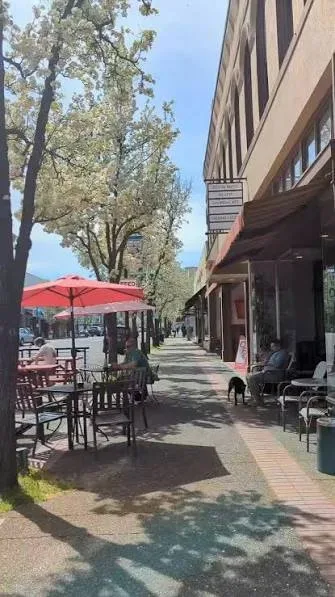 Sunny downtown Medford street with blooming trees and outdoor dining