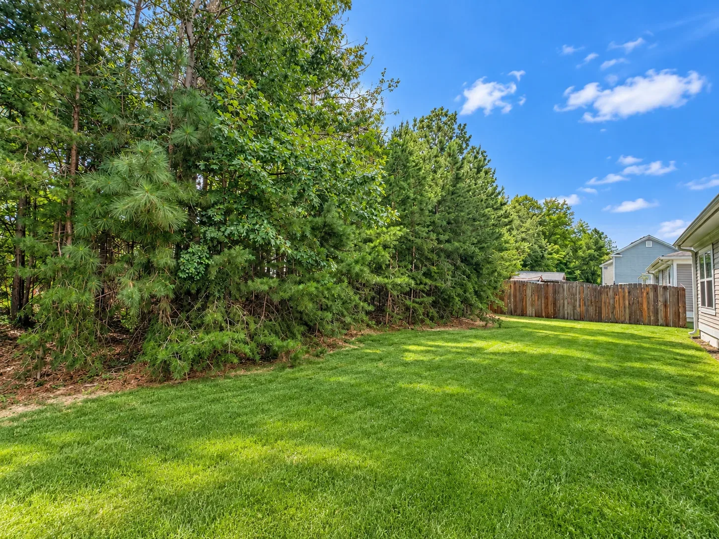 Backyard with green lawn and tree line at 6620 Sterling Way