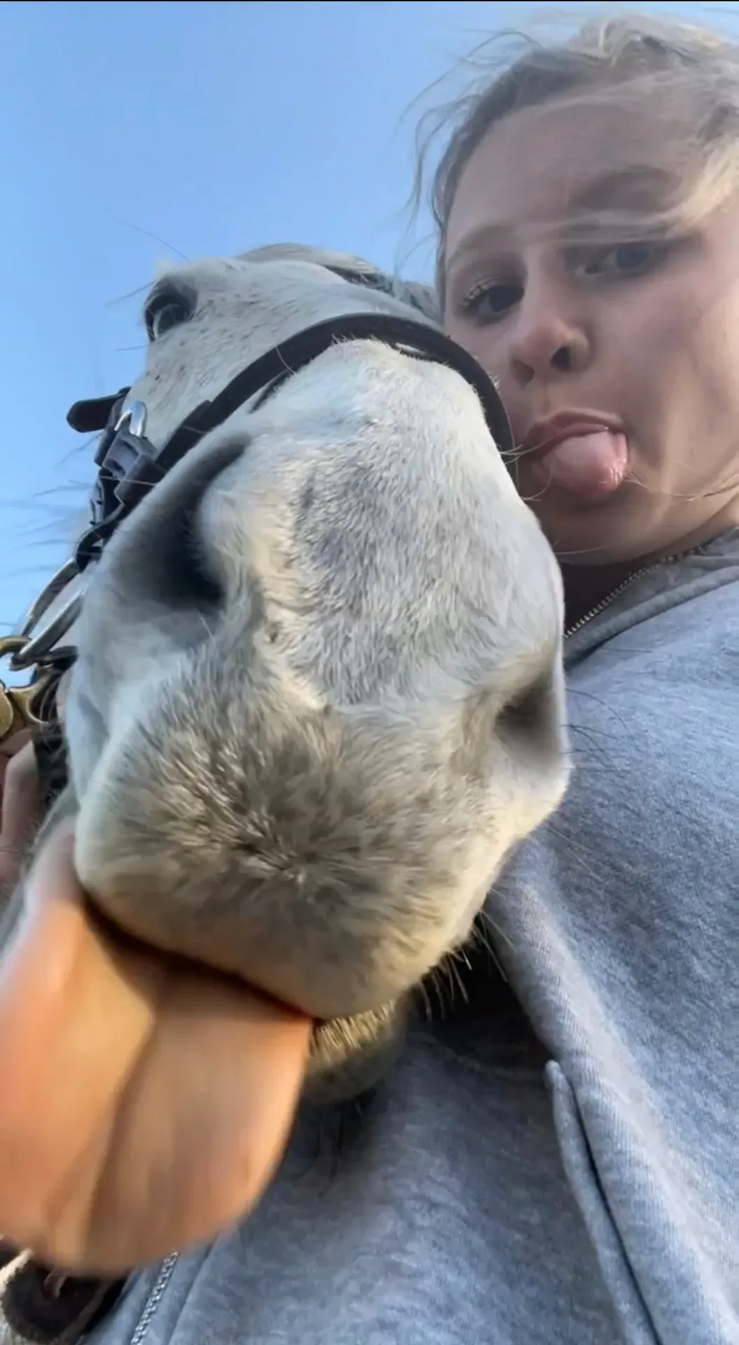 Susan's granddaughter with her white off-track Thoroughbred horse