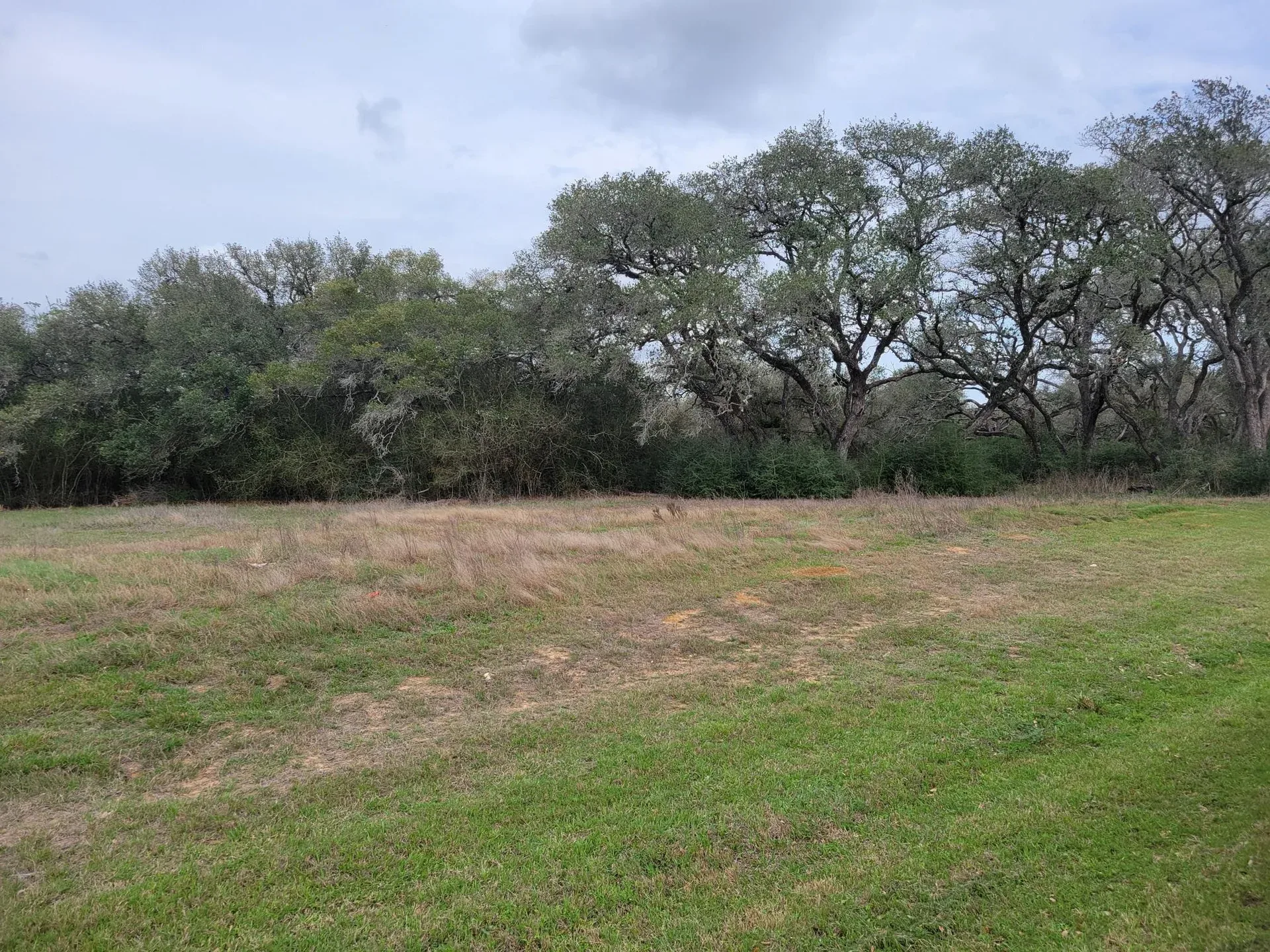The 2.01-acre homesite at 324 Shorebird Ln with a line of mature oaks across the rear