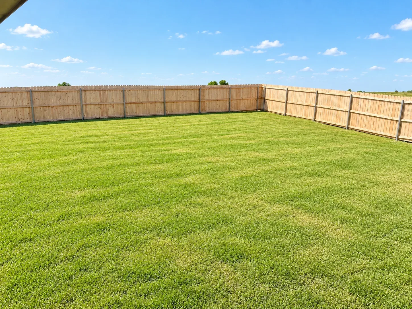 Backyard lawn bordered by a new wooden privacy fence under a clear blue sky