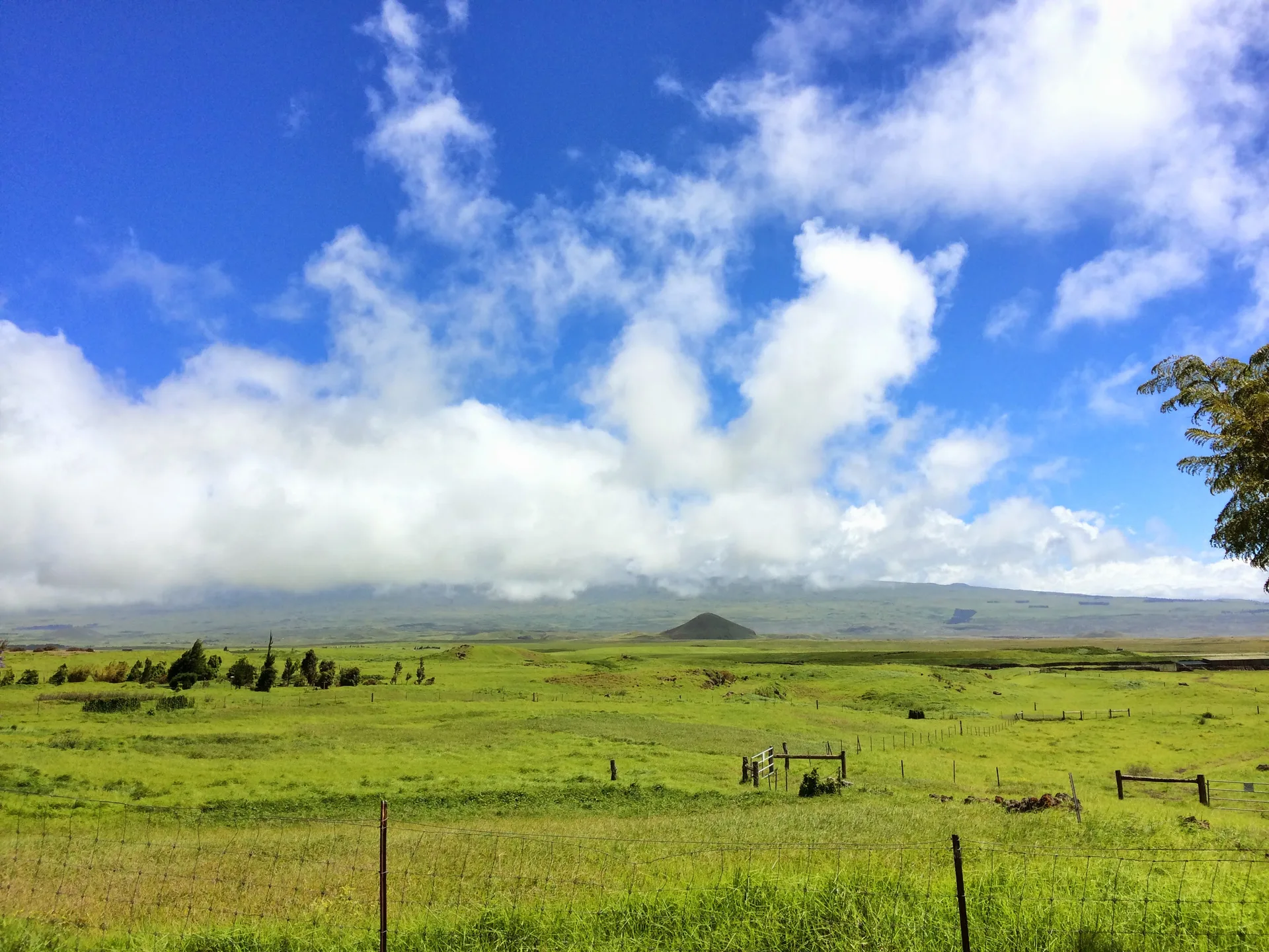 Open grassy plains with a wire fence, a volcanic cone in the distance, and a wide blue sky