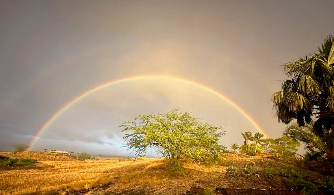 A double rainbow spanning a dramatic sky over golden dry grasses and palms