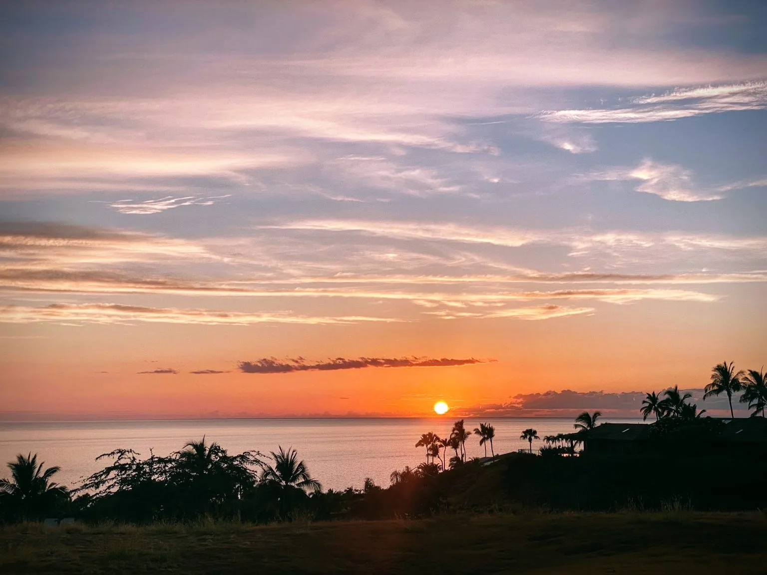 Silhouettes of palms and a rooftop against an orange and purple sunset sky over the ocean
