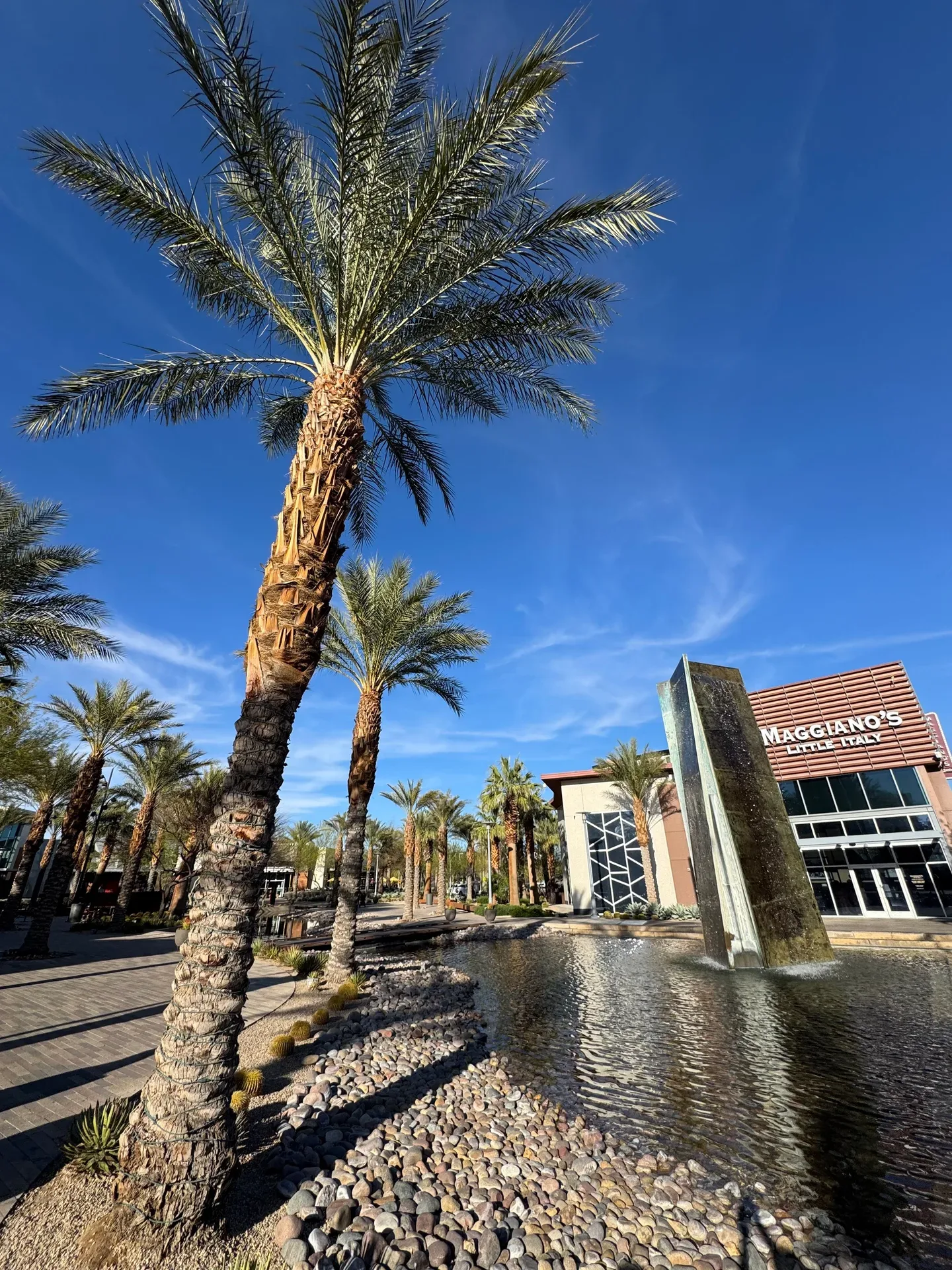 Shop Local in Summerlin: The Farmers Market, Tivoli Village, and More