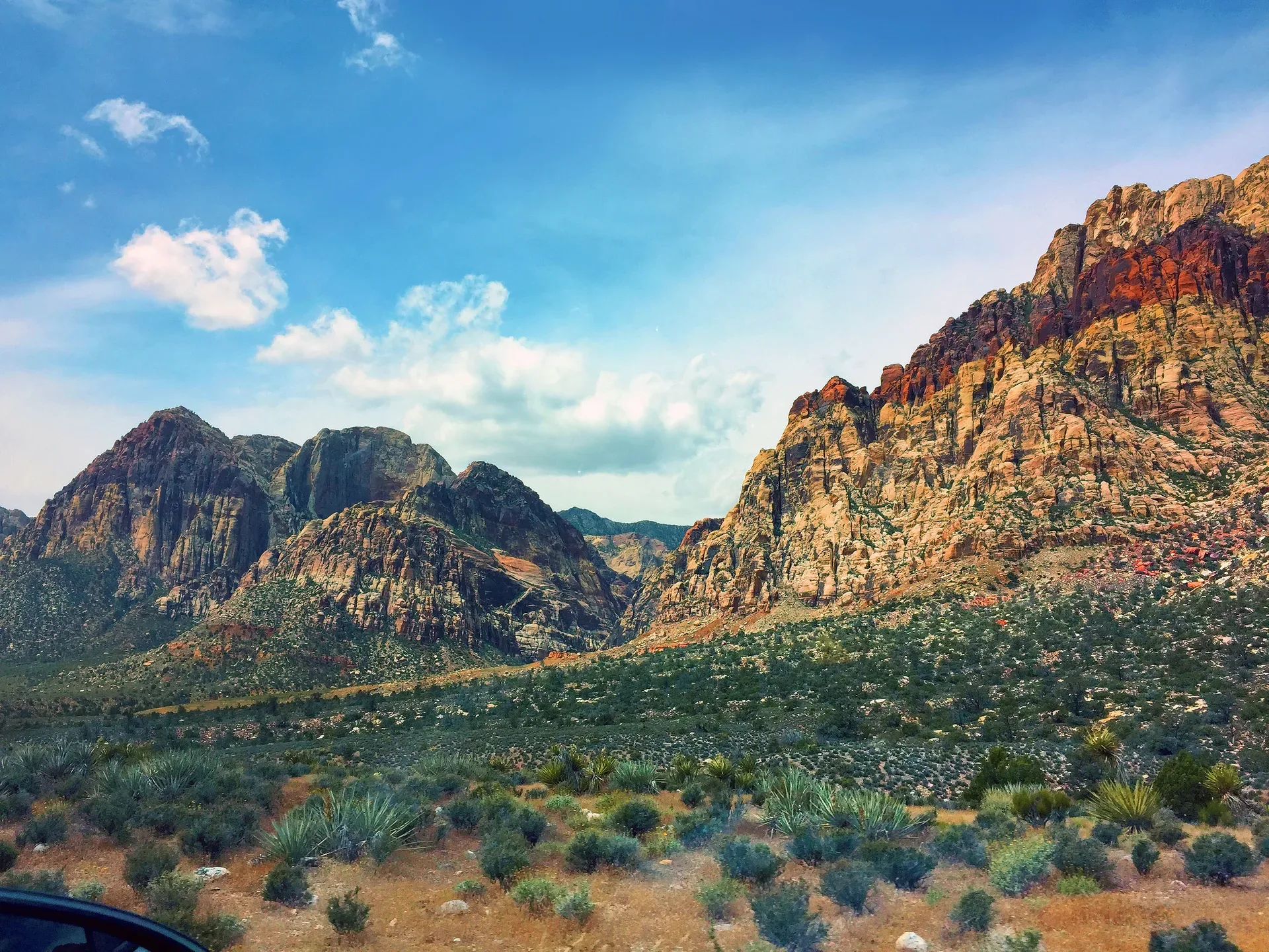 Red Rock Canyon desert landscape with yucca and desert vegetation near Summerlin, Las Vegas