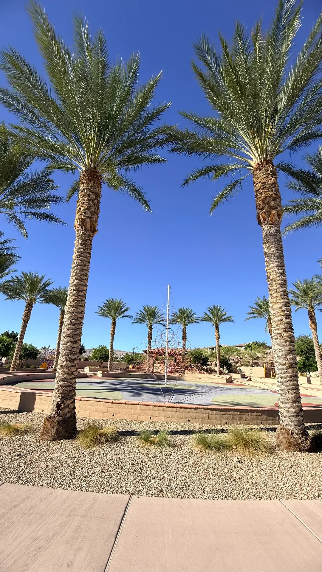 Fox Hill Park playground framed by palm trees in Summerlin