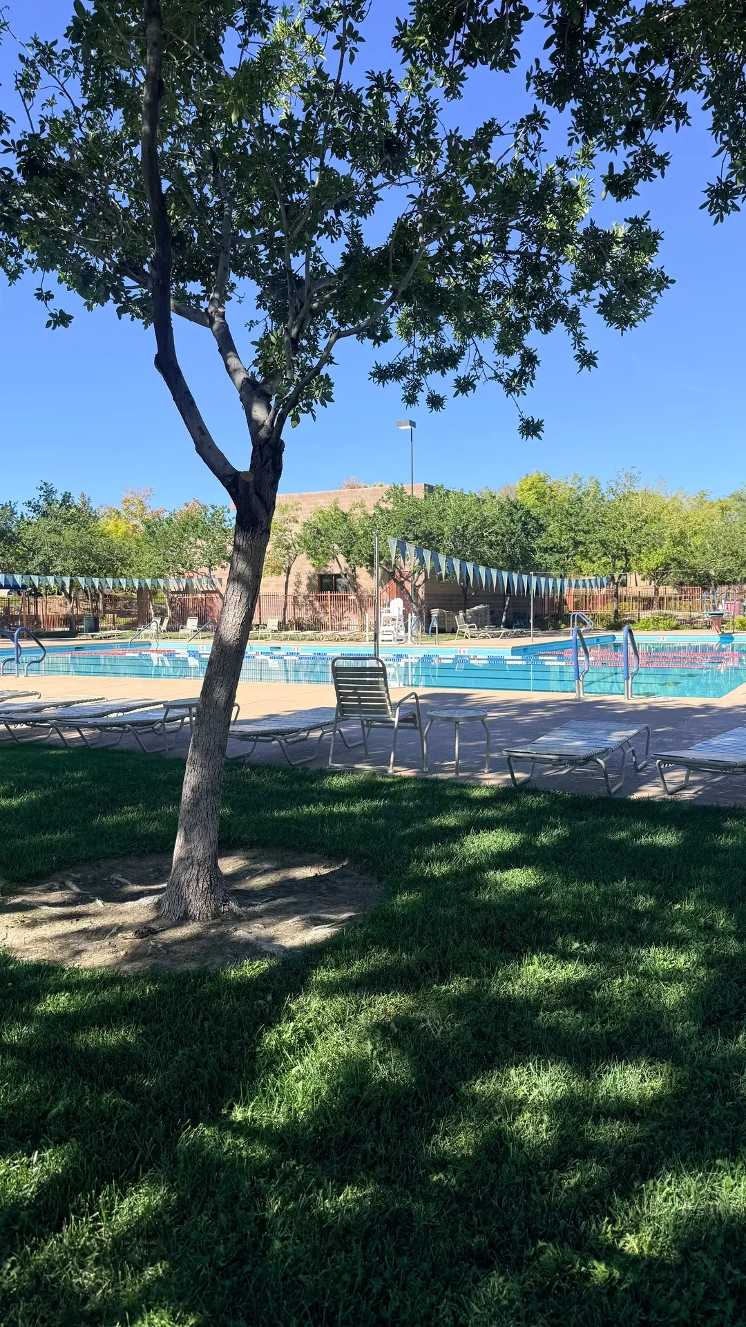 Community swimming pool at The Trails Park in Summerlin