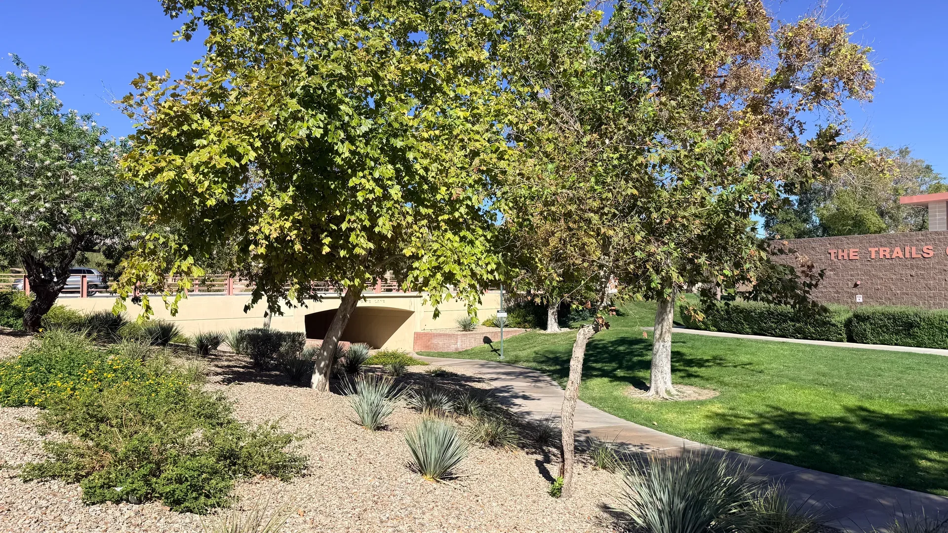 Walking path through a Summerlin community park with the The Trails village landmark in the distance
