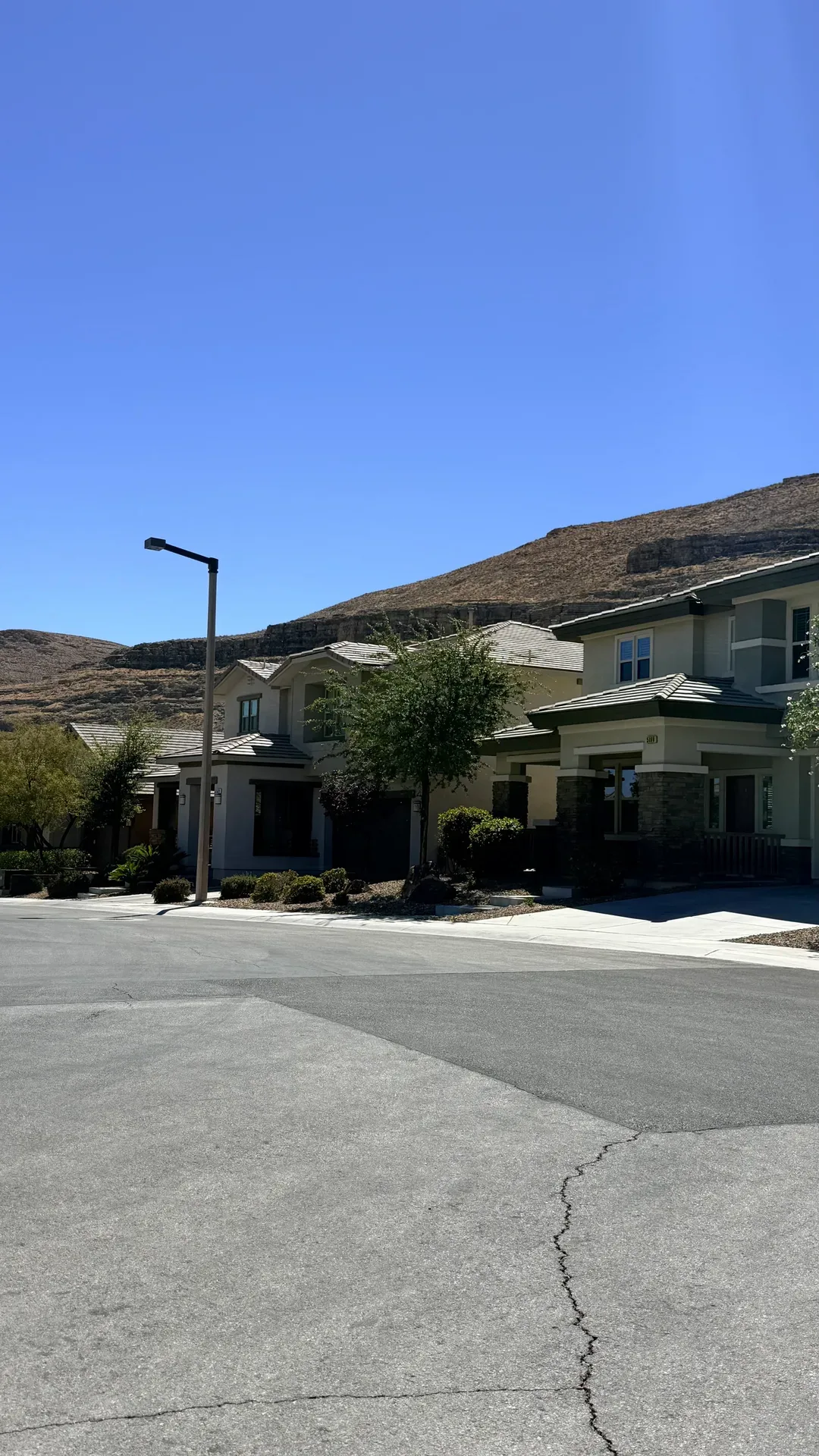 Tree-lined residential street in Summerlin South