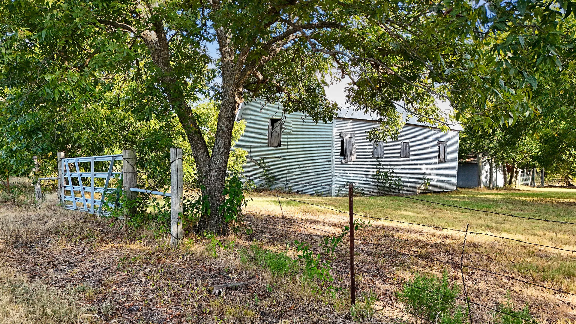 Rustic barn with metal siding set among mature oak trees and wire fencing