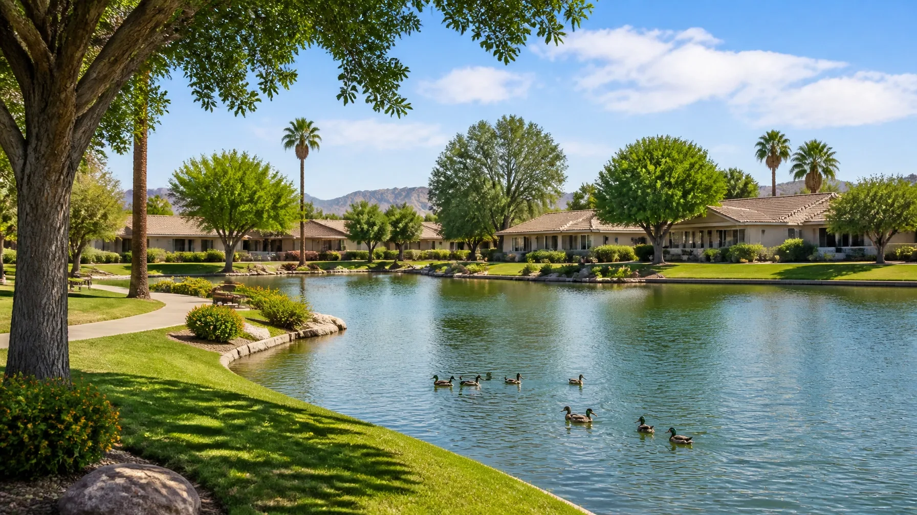 A landscaped community pond with walking paths in an active adult community