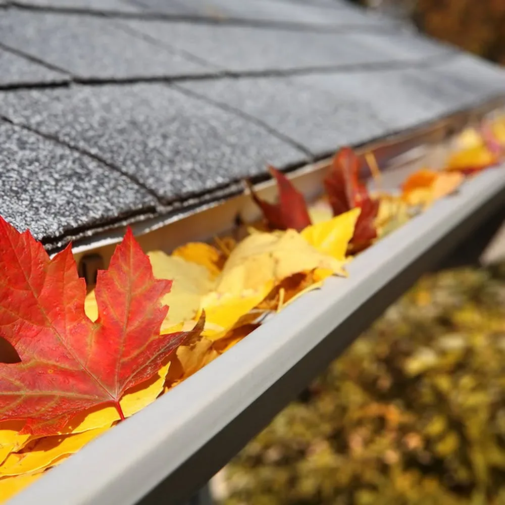 A roof-edge gutter filled with fallen leaves on a Texas home, the kind of debris that needs clearing before storm season