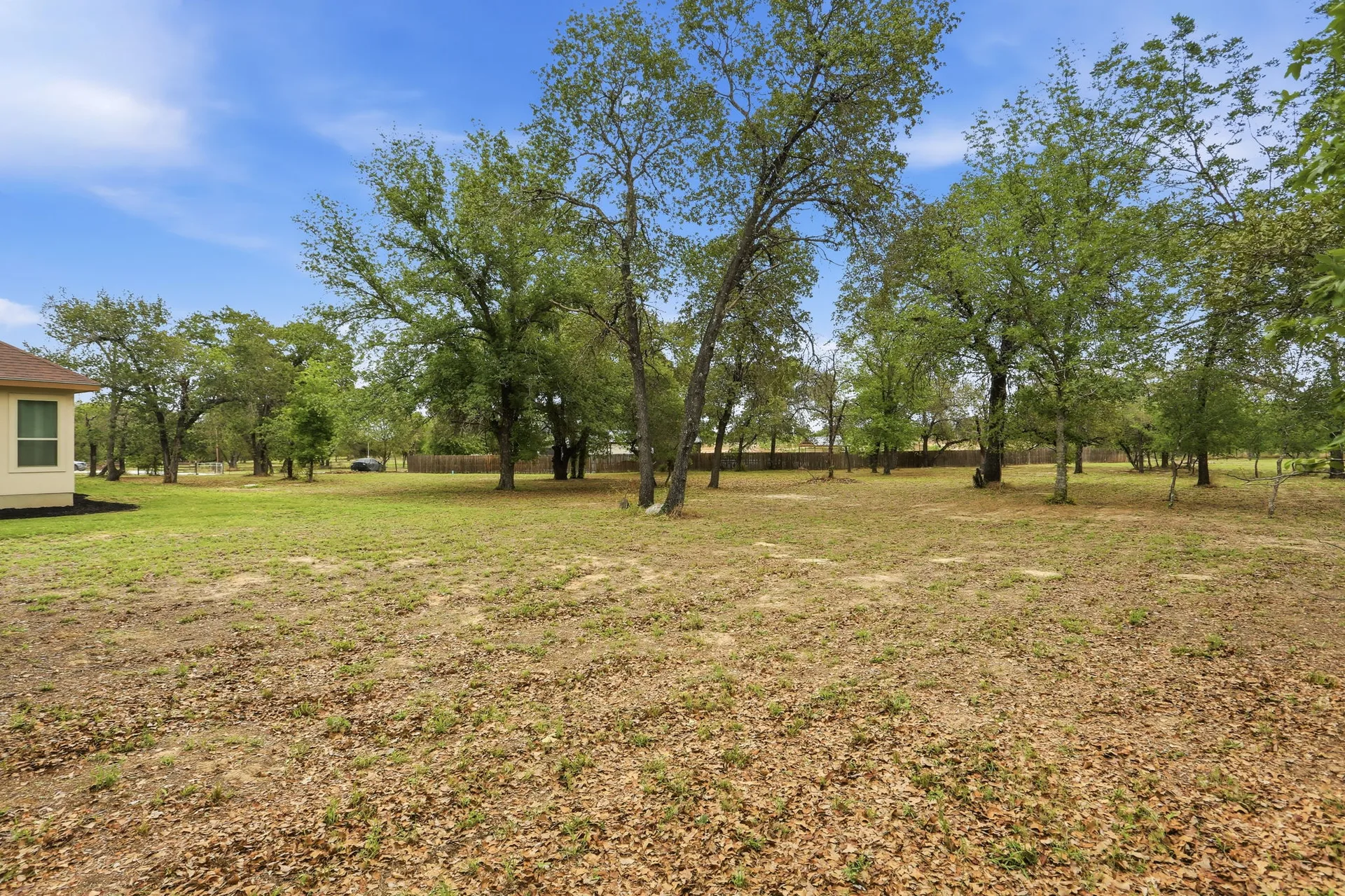 Wooded side yard