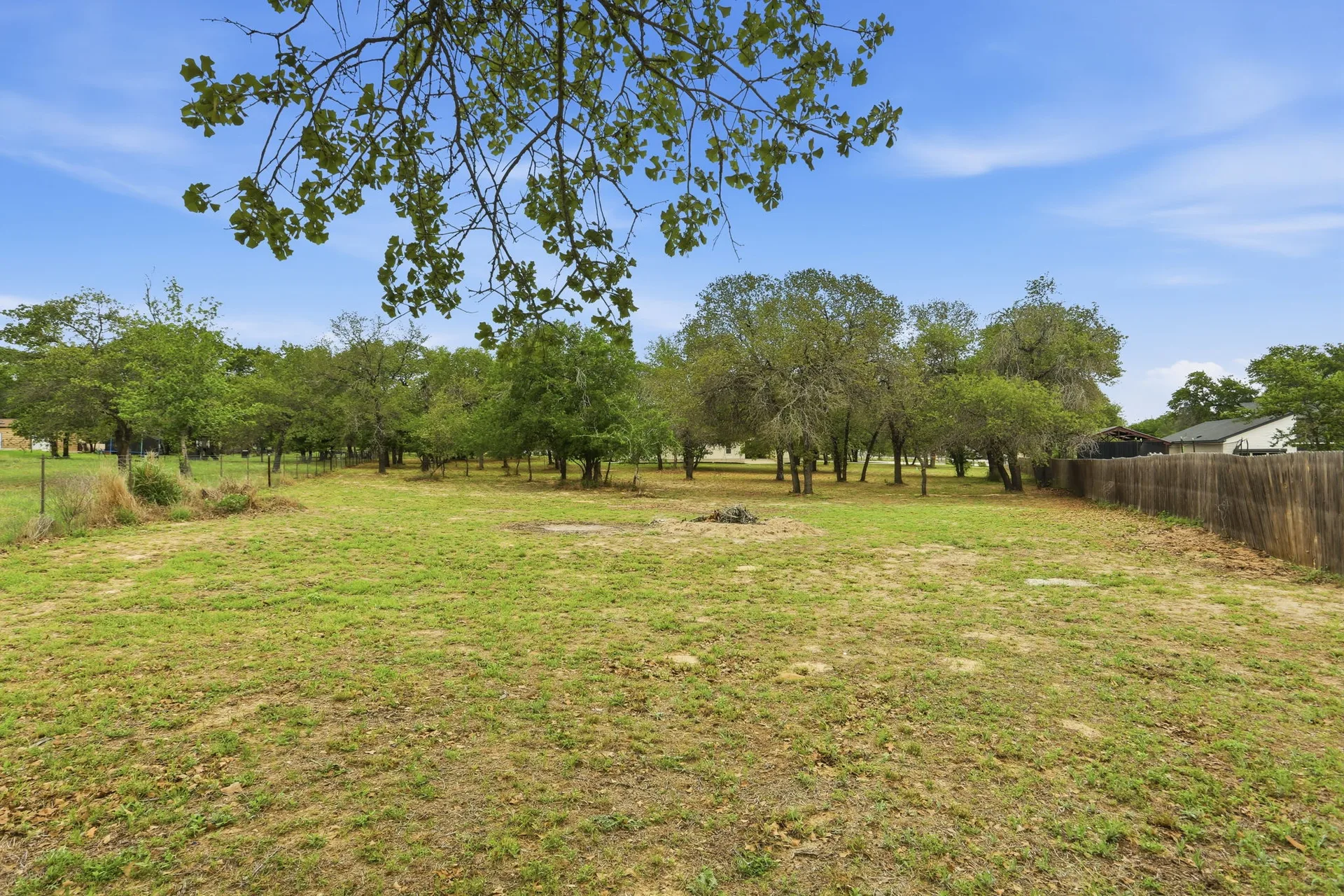 Tree-filled acreage