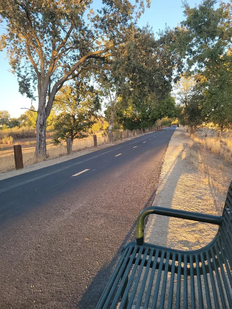 A paved walking path through North Laguna Creek Park at golden hour