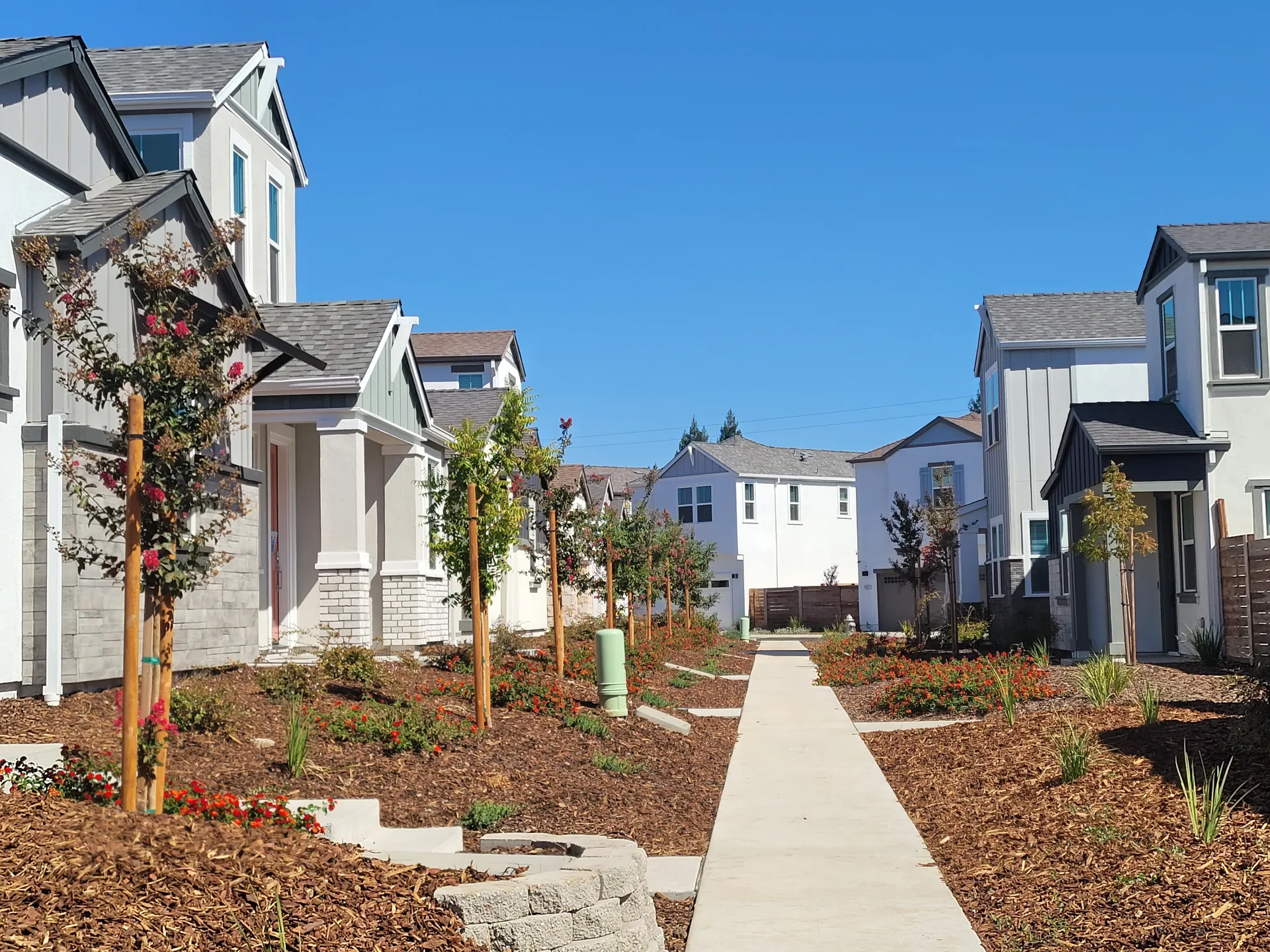 A peaceful suburban street in North Laguna Creek at golden hour