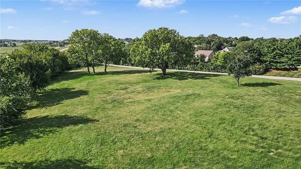 Expansive acreage with open field, thick tree clusters and gravel road boundary
