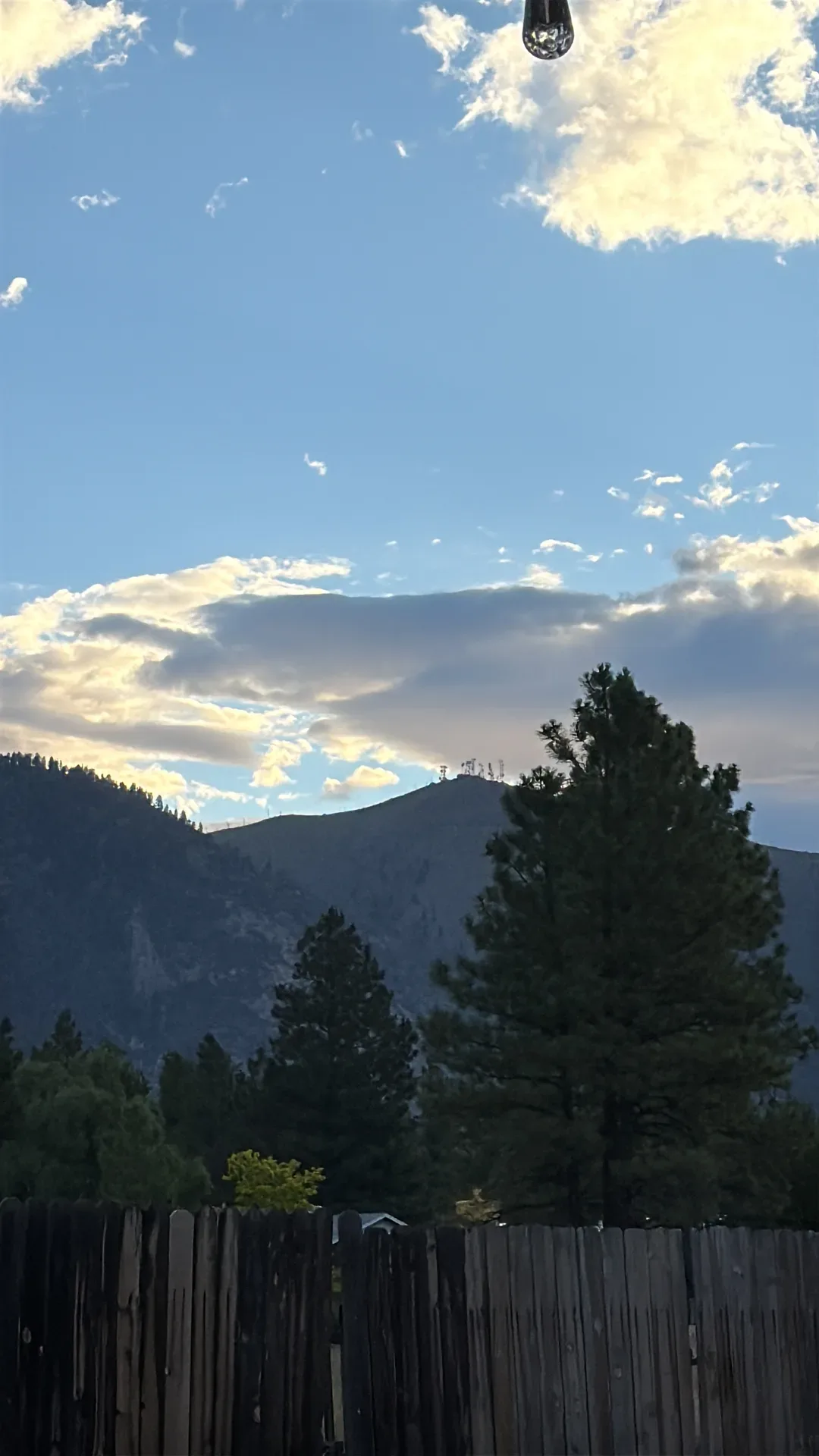 Backyard pines and the mountain ridgeline in the late-afternoon light at Pine Valley