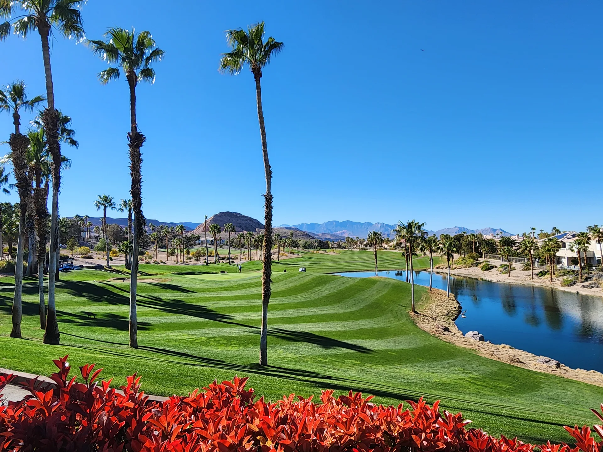 Martin's photo of the Rhodes Ranch golf course with manicured fairways, a pond, tall palm trees, and desert mountains in clear daylight
