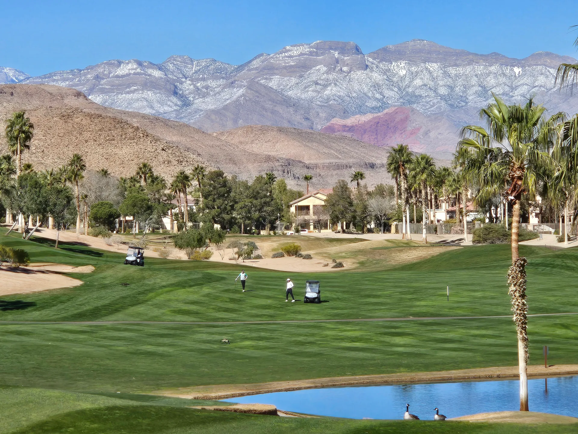 Martin's photo of the Rhodes Ranch golf course scenic view with a water feature, geese, palm trees, and homes in the distance