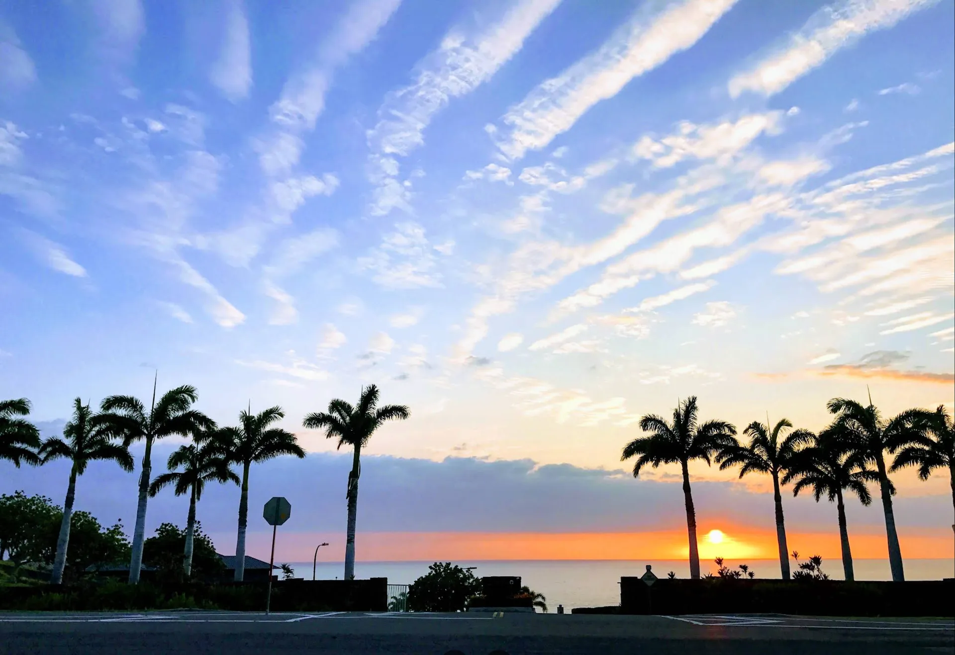 Golden hour view of the entrance road to Kohala Waterfront, palms silhouetted against a sunset sky above the coast