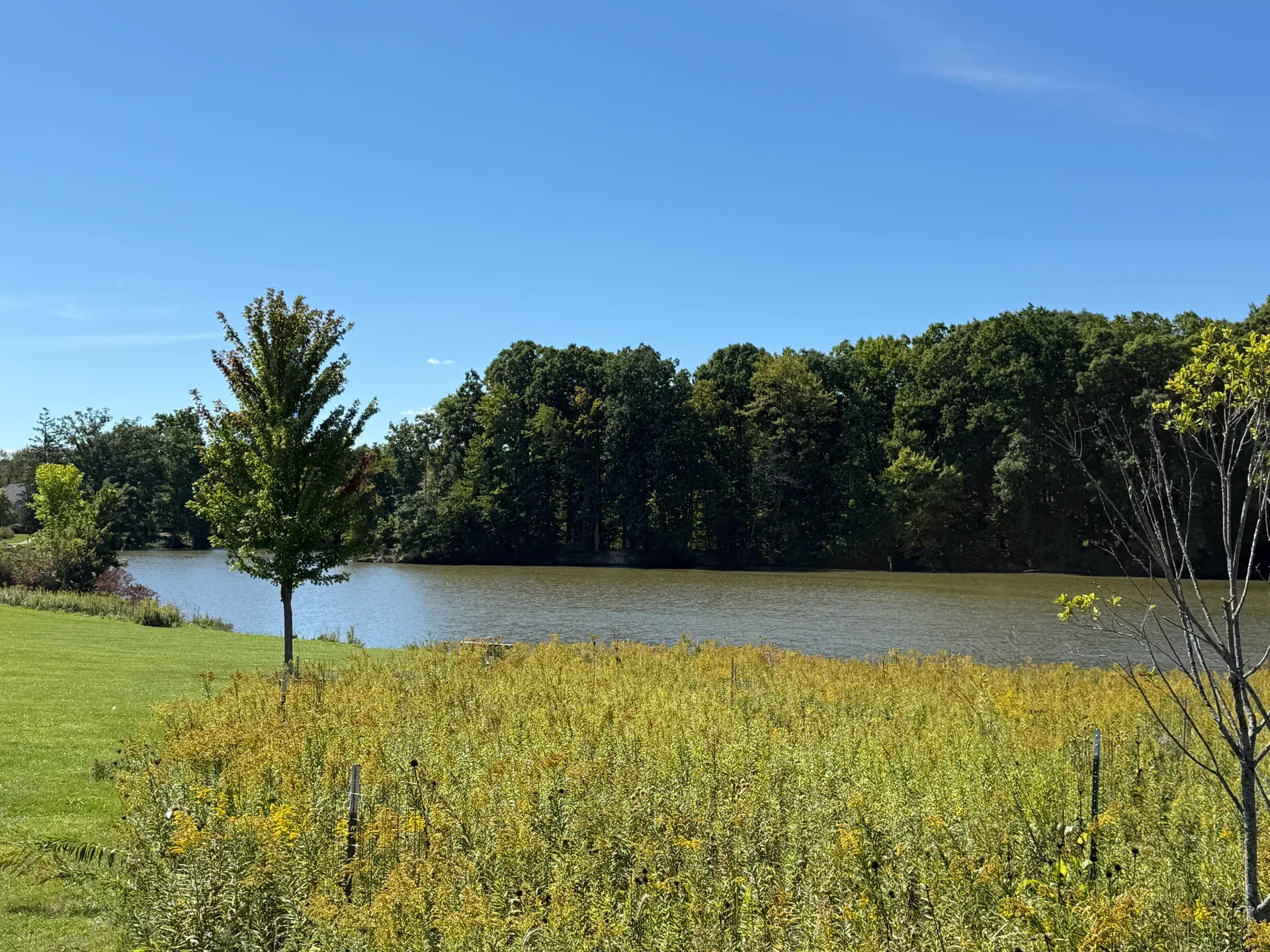 Brunswick Lake with a blue sky, calm water, meadow, and trees in Brunswick, Ohio