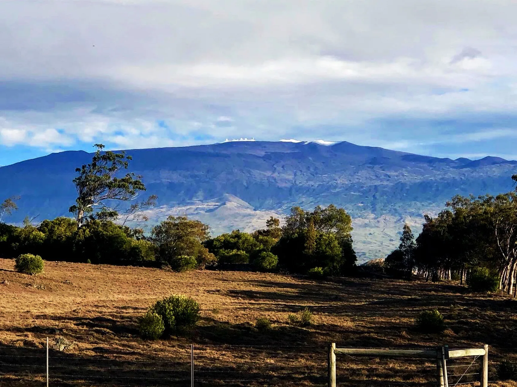 Ranch land near Waimea toward Mauna Kea and its observatories