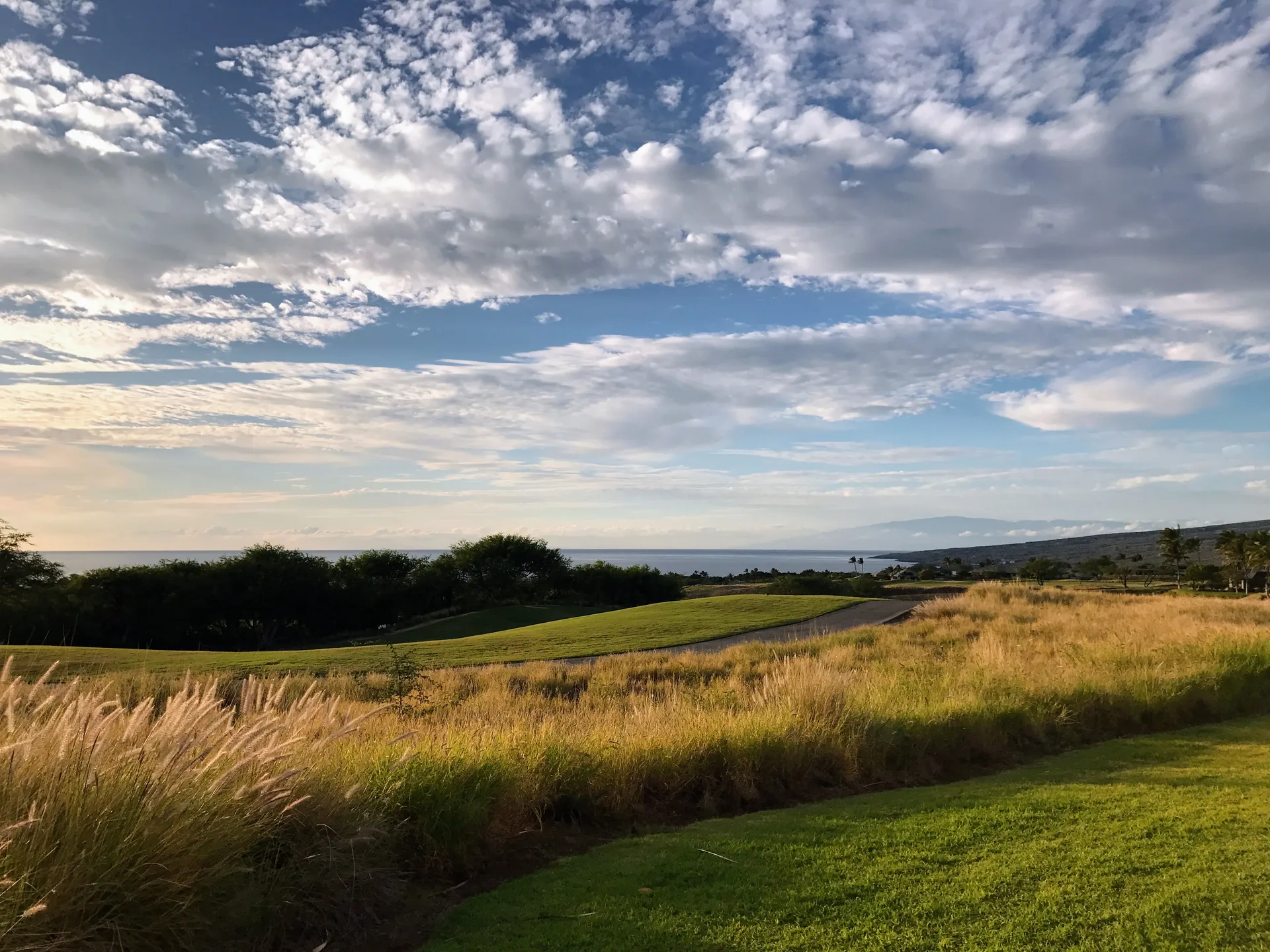 Golf course fairway with golden grasses and the ocean on the horizon